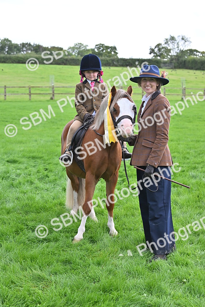 SBM_40158 - S20 - Lead Rein Mountain & Moorland Pony