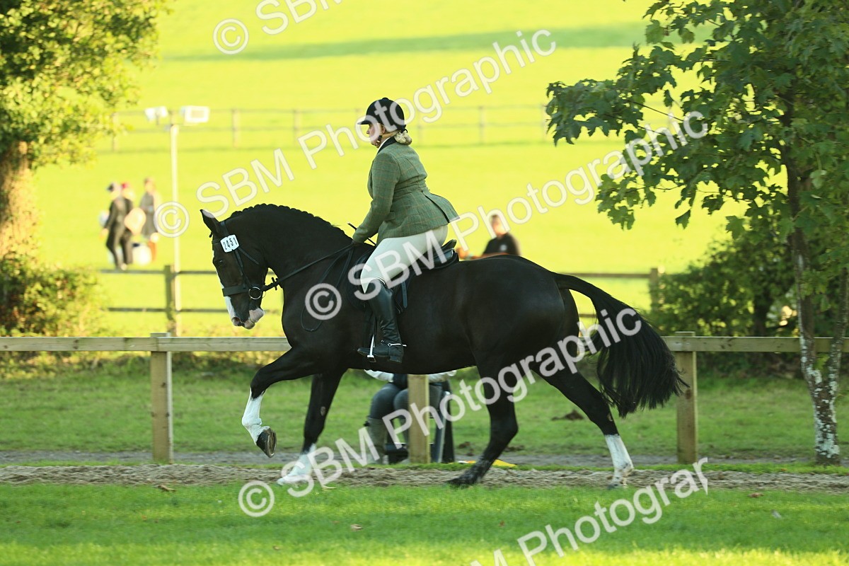 SBM_55645 - S14 - Riding Club Horse