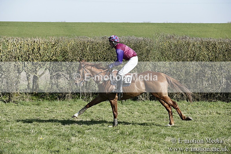 PtP 250317 179 - V.W.H. Hunt Point-to-Point Siddington 25/03/17