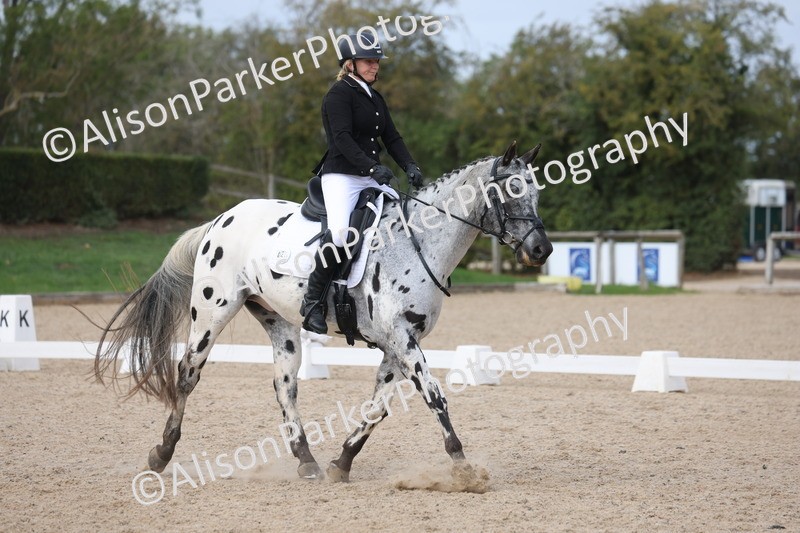 20261010-0691 - Class 6 - Novice 2