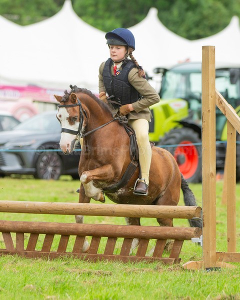 Dunblane show-10 - Dunblane and Doune Show Ring 1