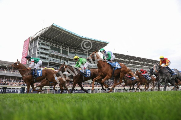 yr20082021r6-29 - Race 6 4.40pm Assured Data Protection British EBF Fillies' Stakes