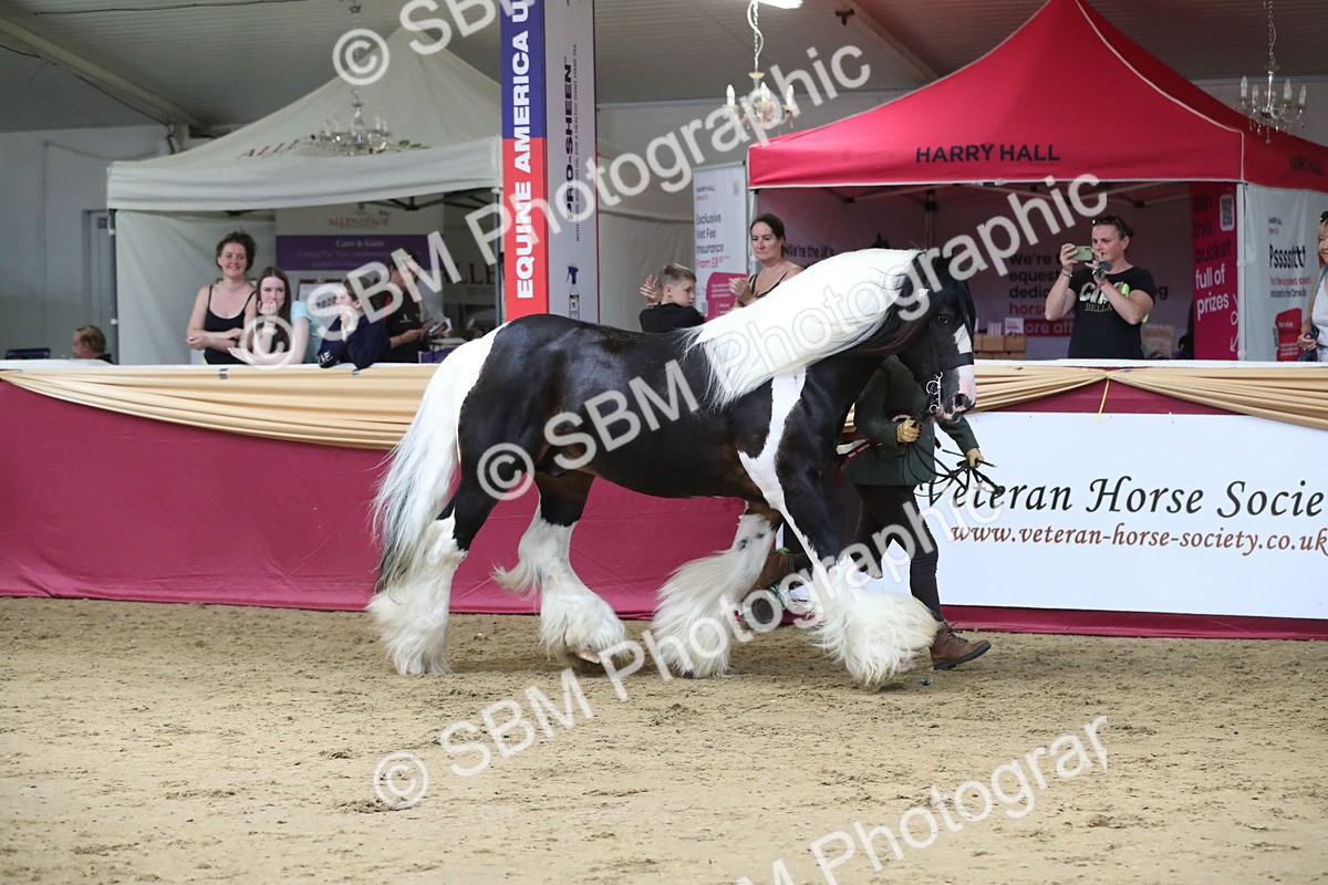 SBM_06488 - Class 9R Regional- IH Pre Vet