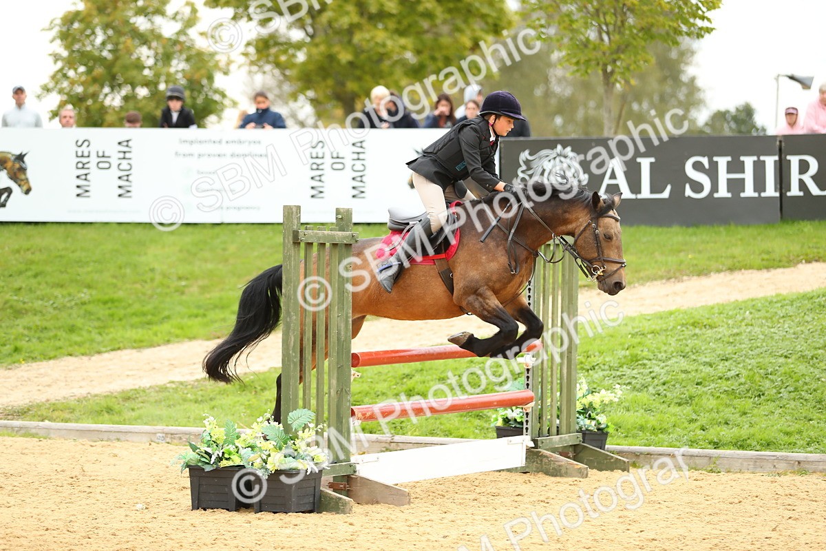 SBM_75943 - J19 - Junior 90cm Supreme Championship