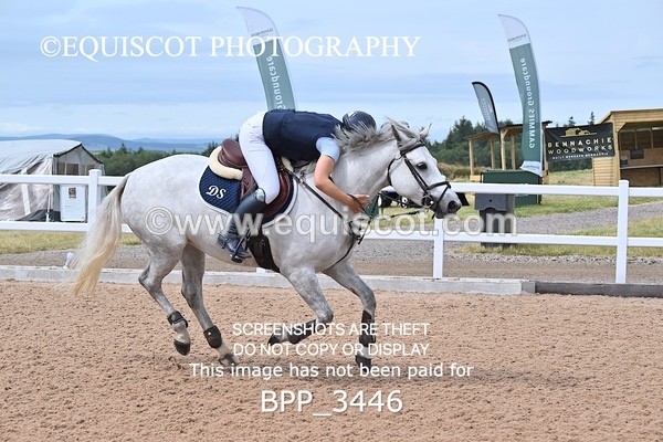 BPP_3446 - FRI CLASS 19 Junior 1.20 Open /Inc 148 Restricted Open **Viewing/Selection class for 148 teams**