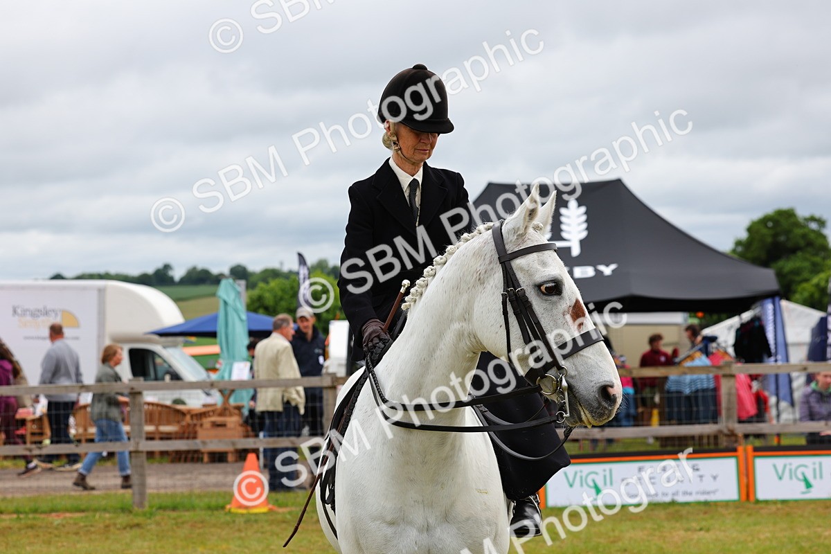SBM_02760 - Class 9-11 Side Saddle including LIHS Rising Star Ladies Show Horse
