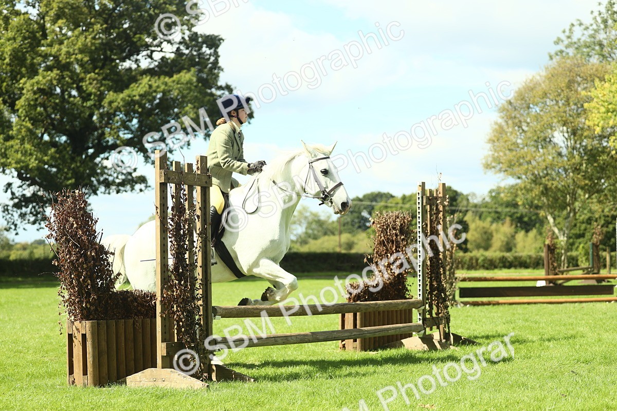 SBM_44544 - S30 - M&M Working hunter Pony
