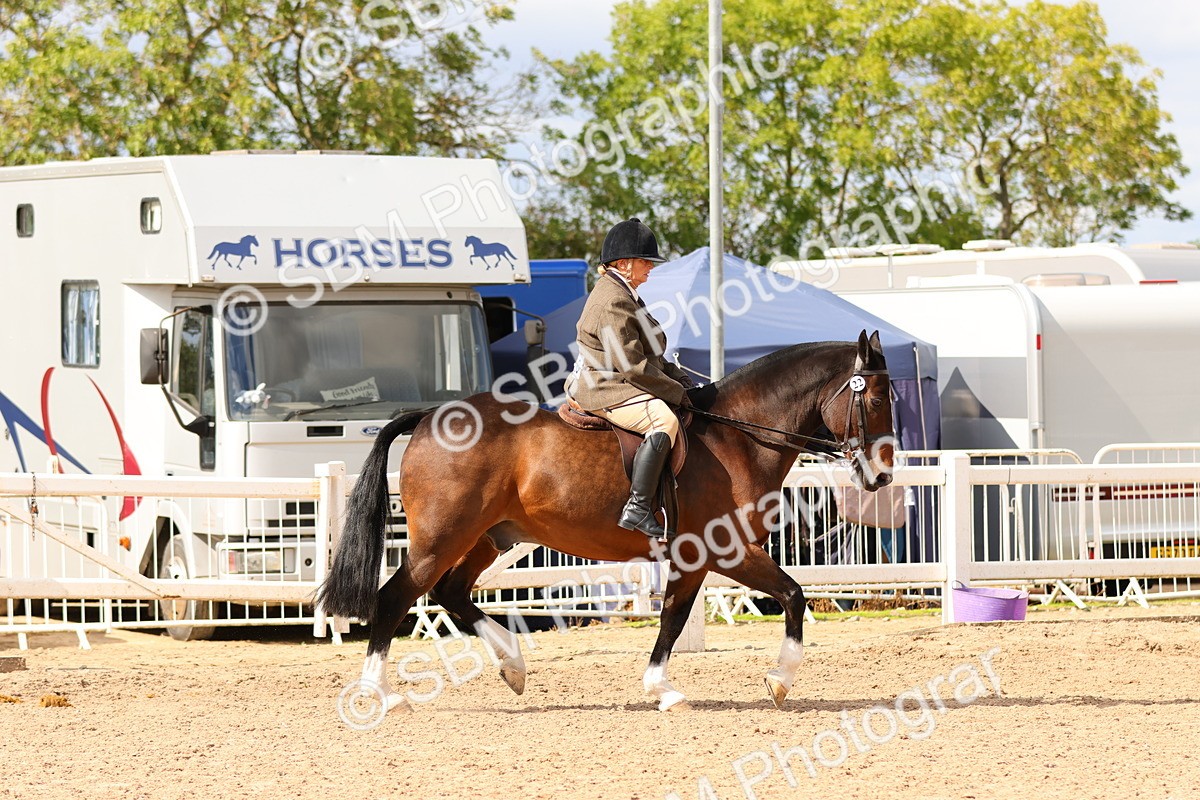 SBM_15475 - Class 214 - Ridden Show Cob