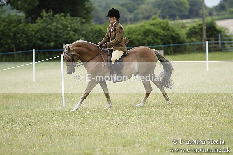 BVR160717-165 - Ring 3 BVRC Show 16/07/17