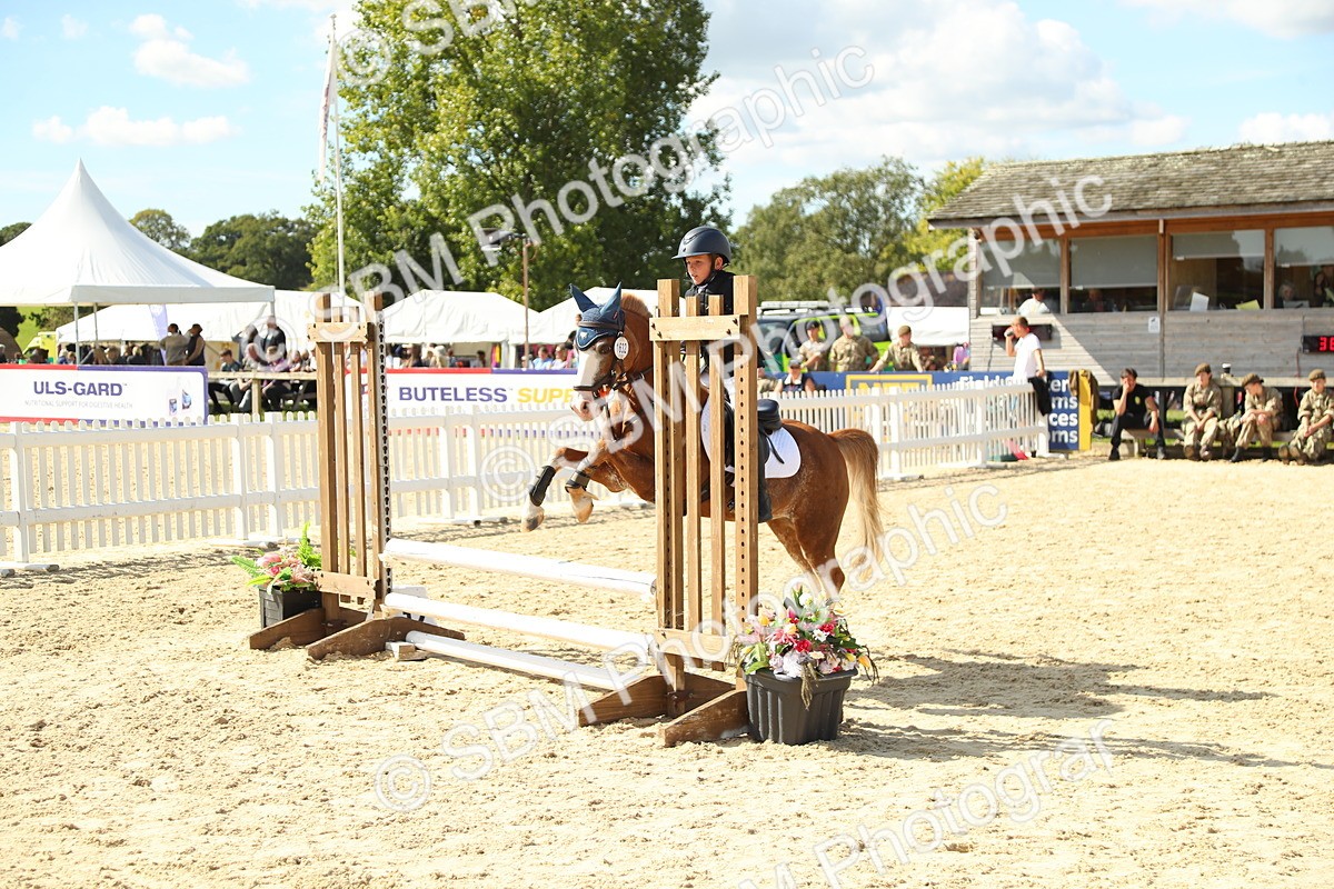 SBM_39456 - J6 - Junior Pony 55cm Championships