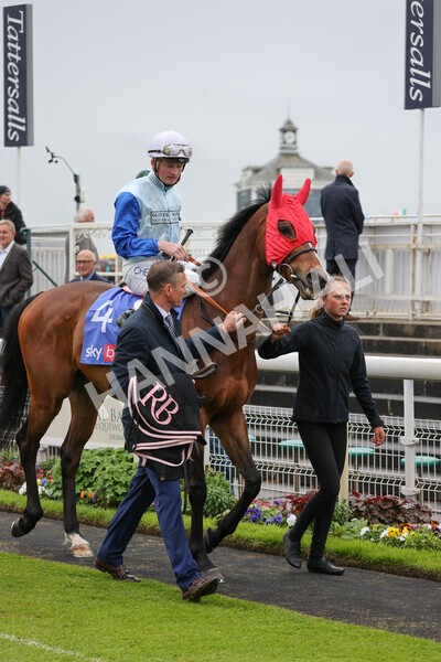 yr11052022r1-13 - Race 1 1.50pm Sky Bet Race to the Ebor Jorvik Stakes