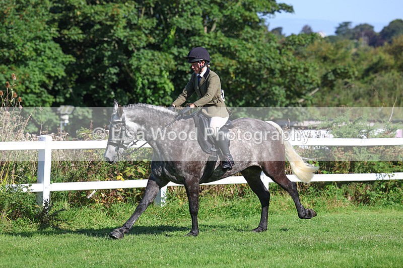 3E7A7851 - Class 2: Open Working Hunter pony