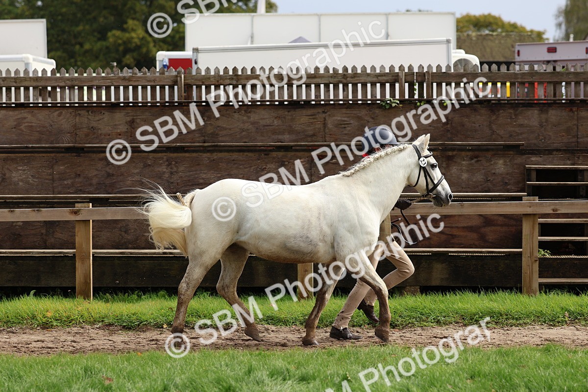 SBM_40735 - S25 -  Veteran In Hand