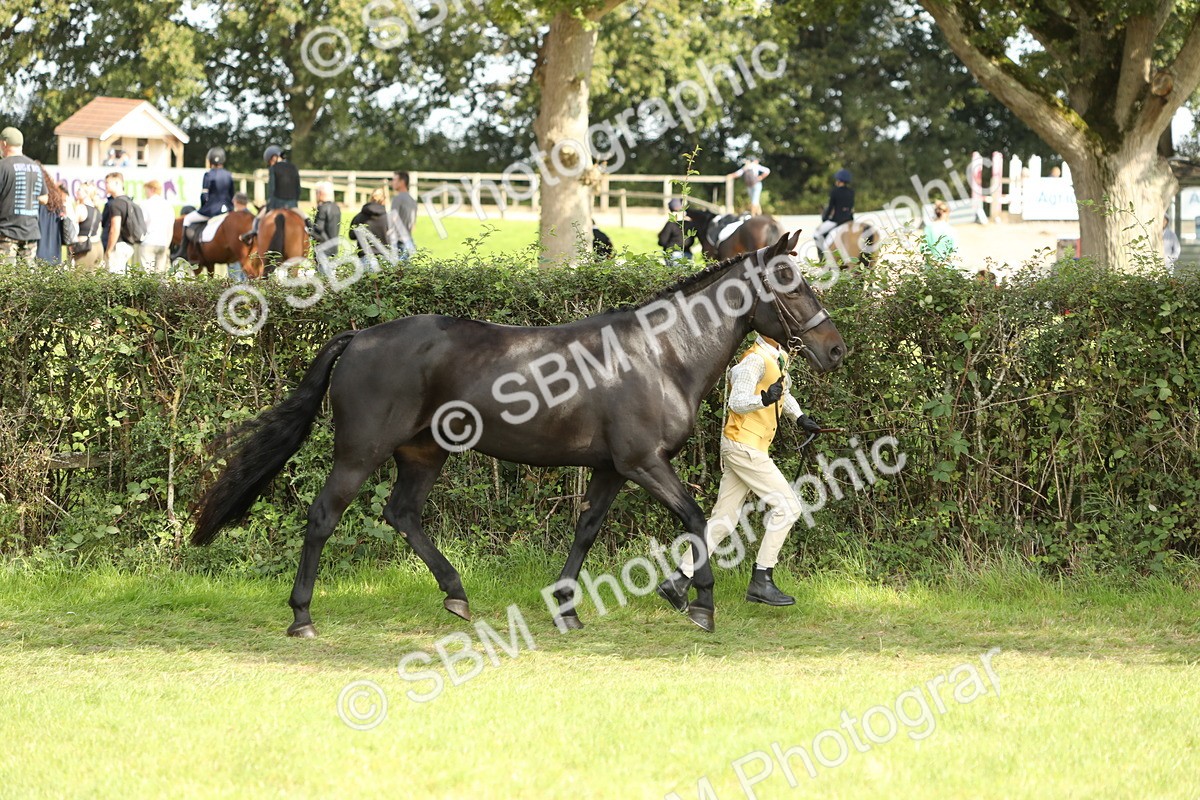 SBM_68566 - S40 - Junior Handler 9-12 Years