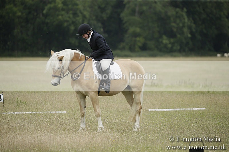 B230619-0613 - Bourne Valley Riding Club Summer Show 23/06/19