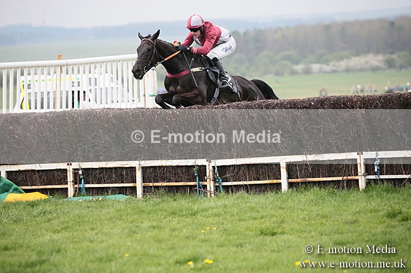 PtP 210418 109 - South & West Wilts Point-to-Point Larkhill 21/04/18