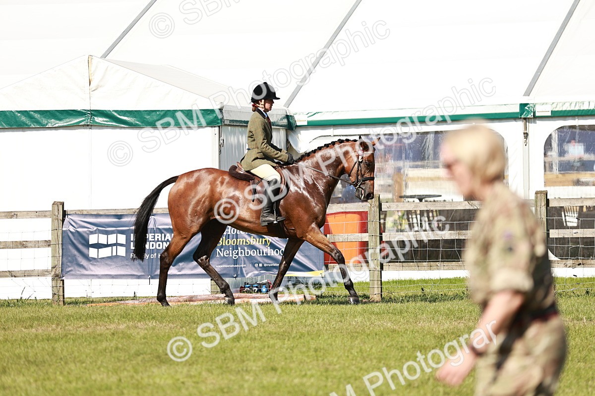 SBM_18874 - Class 114 - RIHS & SEIB Open Working Show Horse