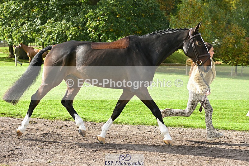 241023-132325-00253 - 016-Liberty.Smith-MODEL.T