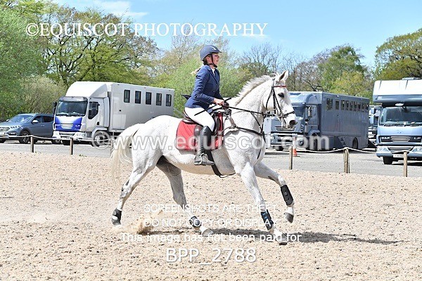 BPP_2788 - FRI CLASS 4 95CM AM CHAMP QUAL