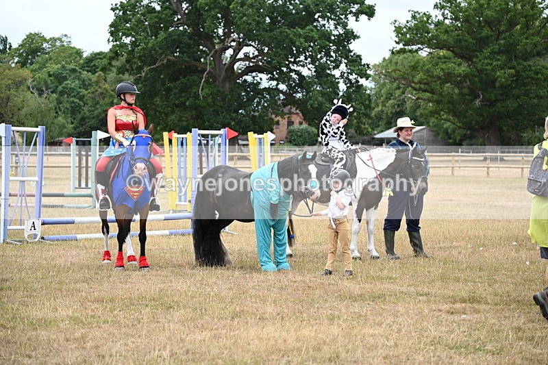 WJ6_9185 - Class 11 Fancy Dress