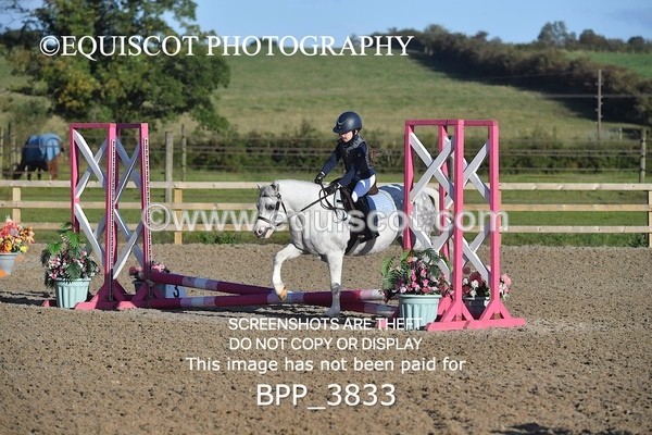 BPP_3833 - CLASS 0 Clear Round Show Jumping