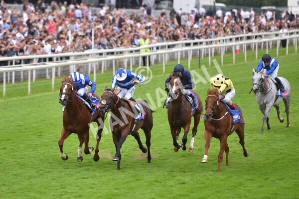 yr24072021r3-15 - Race 3 3.15pm Sky Bet York Stakes