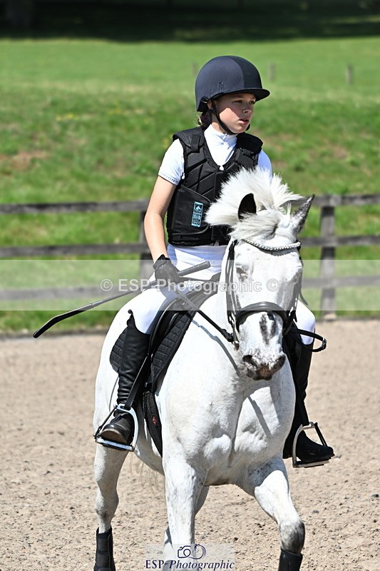240729B-121718-02628 - Showjumping Competition