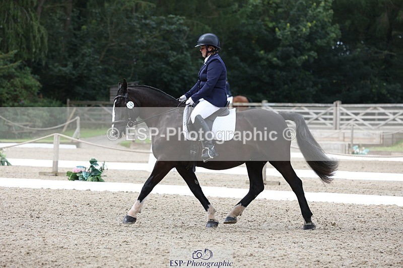 230812-111735-03722 - Cls 5 Novice Bronze 11.15 to 12.50 break