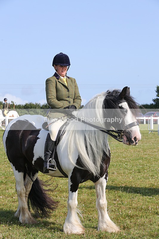 1X9A3398 - Class 28: Ridden Native/Trad Coloured Pony