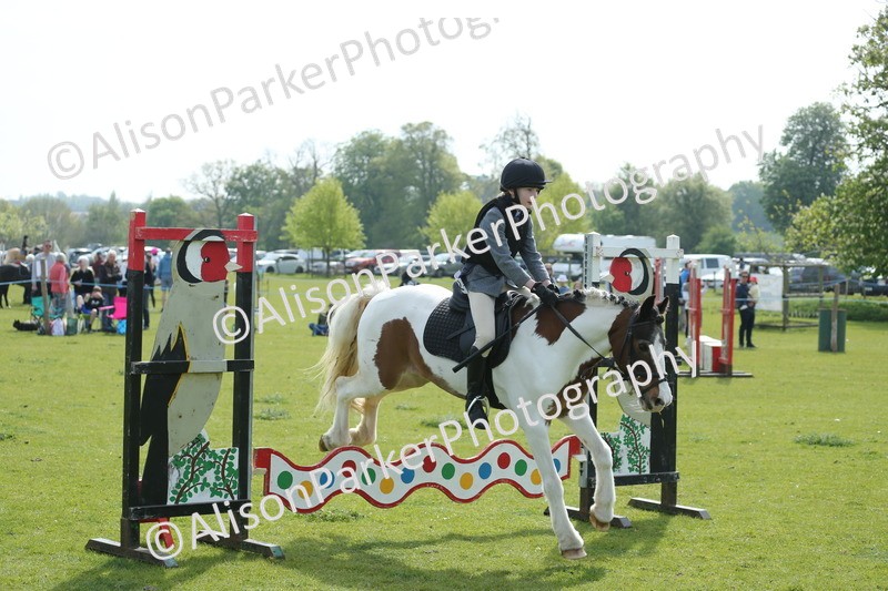 20260426-1562 - Class 14 - Novice 60cm