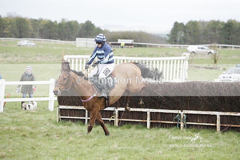 PtP 260323 0517 - New Forest Hounds Point-to-Point Larkhill 26/03/23
