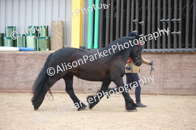 20251109-1183 - Championship