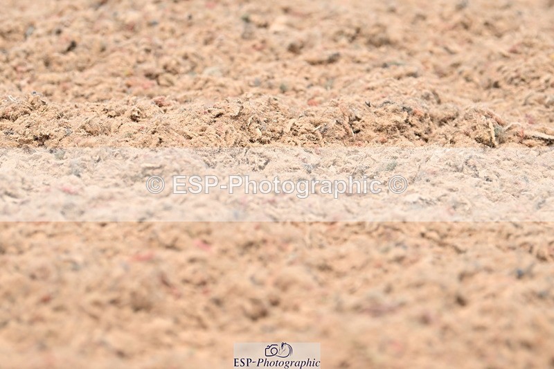 240621A-123812-02194 - Cls 7 BD Elementary 45