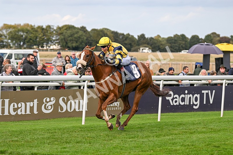 240924-Race 6-Captain Corelli-6709 - Race 6