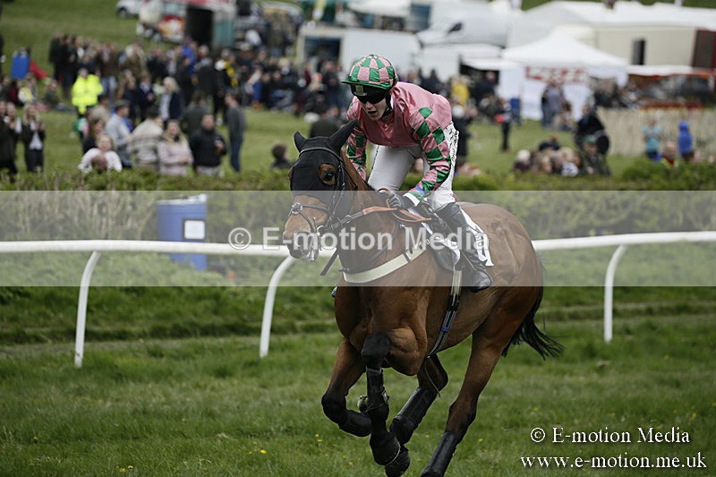 PtP 170417 567 - Old Berks Point-to-Point Lockinge 17/04/17