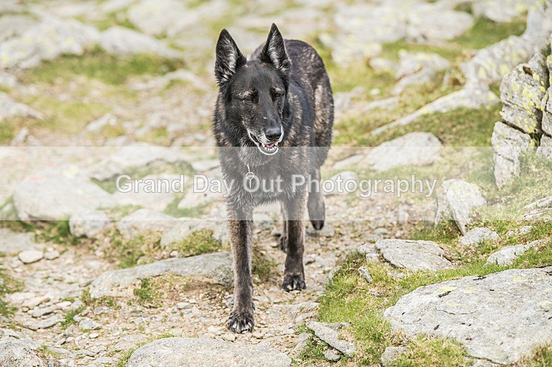 Duddon Long-103 - Duddon Valley Long Fell Race Saturday 30th May 2026