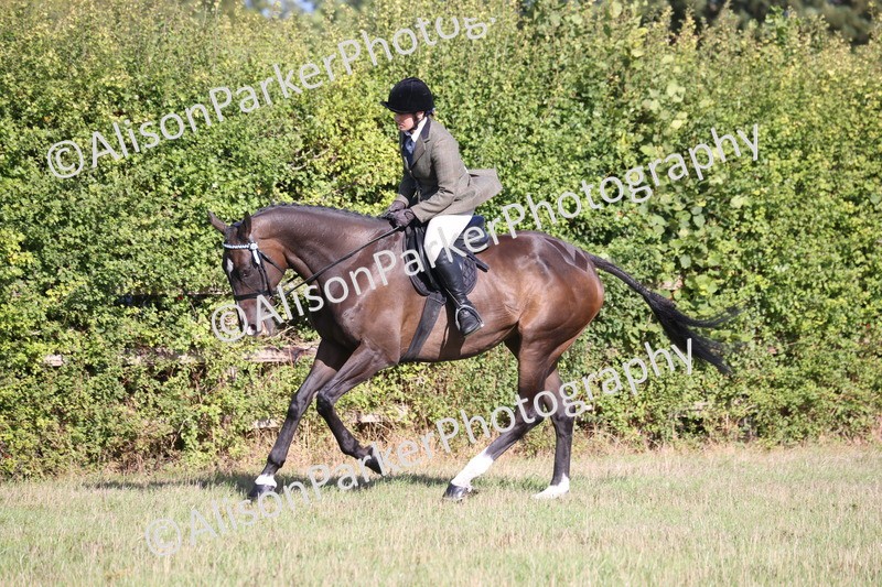 20260906-0418 - Class 14 - Ex Racehorse