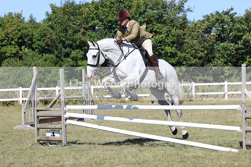 3E7A5847 - Class 5: Working Hunter 90cm