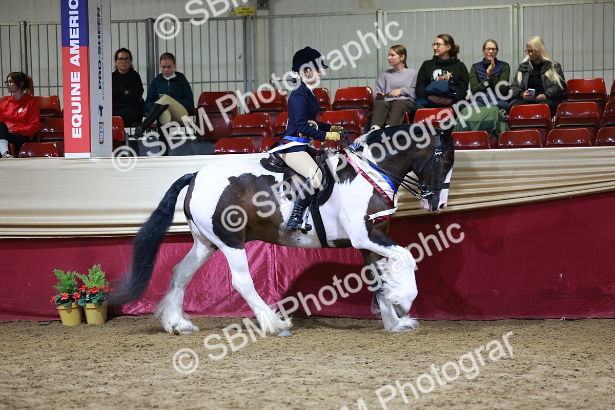 SBM_21310 - Class S - Style & Performance Champ