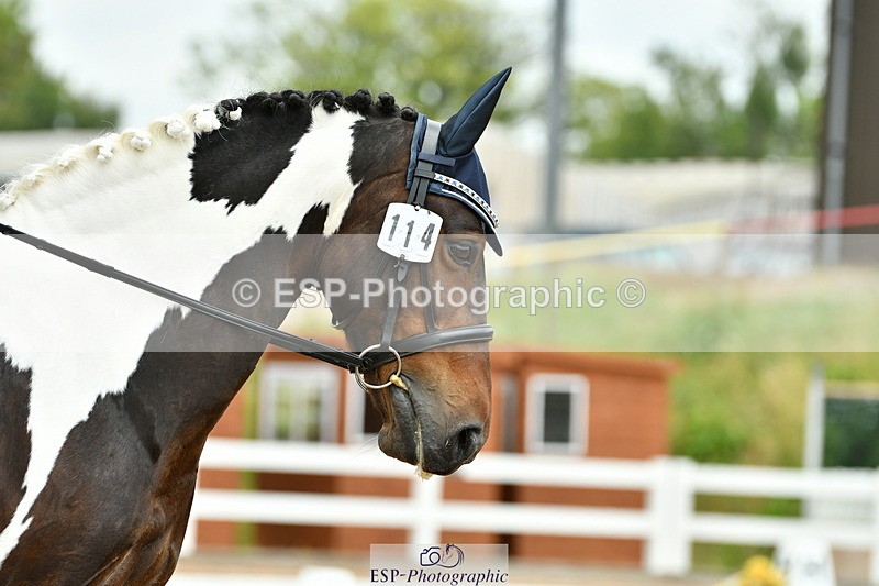 230701A-123004-05745 - Cls 7 Elementary 45