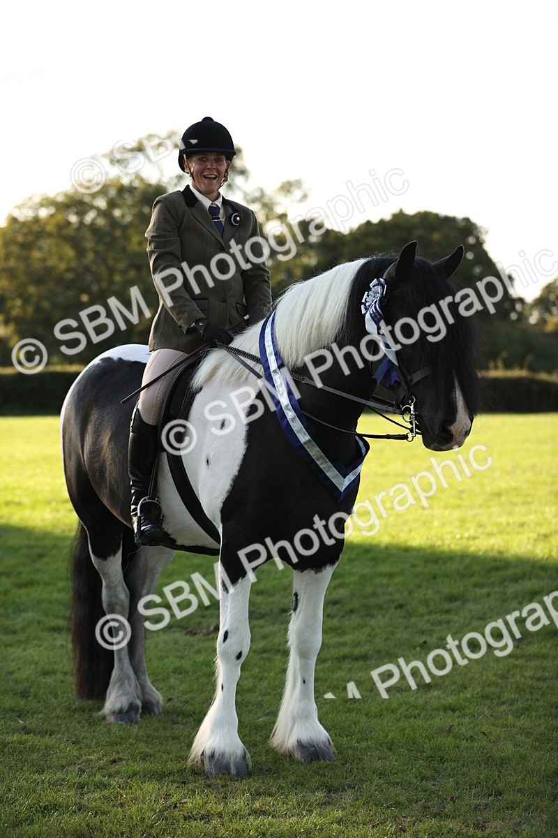 SBM_30138 - Novice & Newcomers Supreme Championship