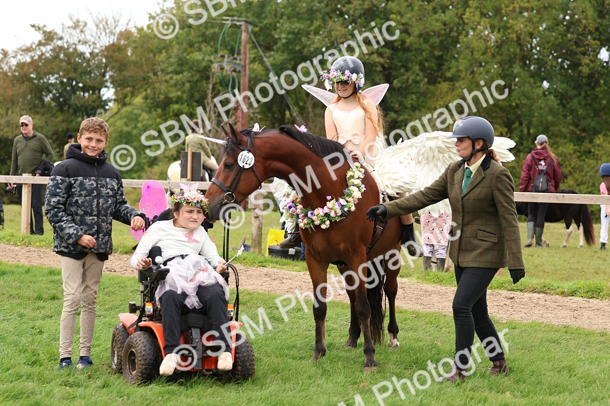 SBM_62192 - S37b - Best Unicorn