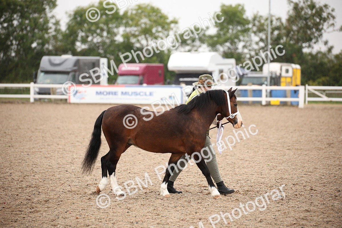 SBM_19274 - Class 701 - Best Turned Out IH & Ridden
