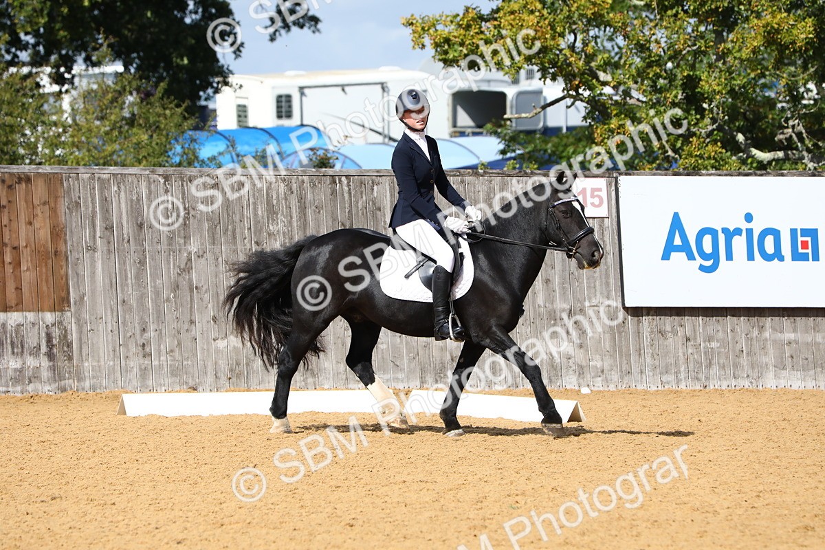 SBM_20824 - D5 - Small Tour Championshop Intro 2