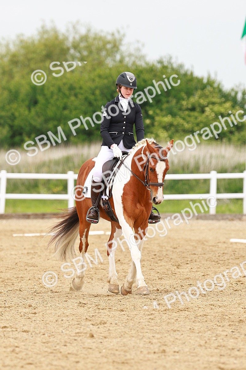 SBM_001667 - Class 7 - Novice 5