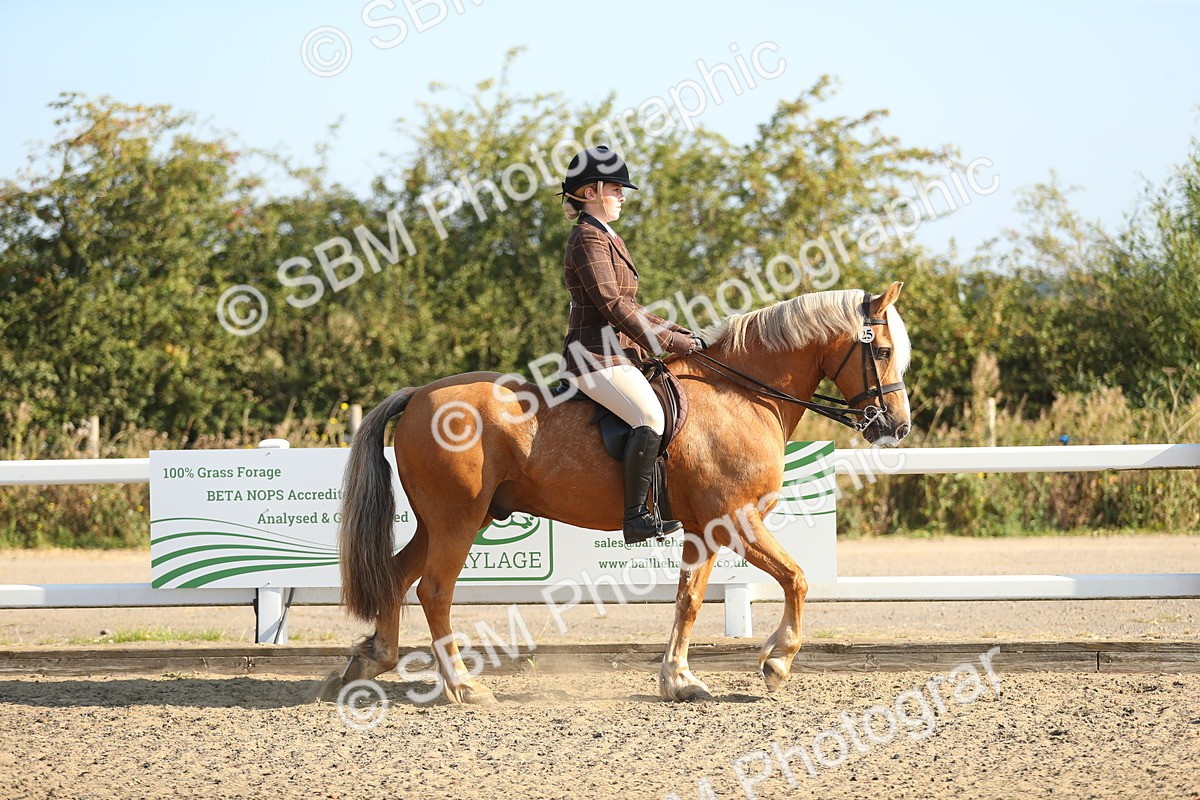 SBM_01106 - Class 42 Ridden Veteran