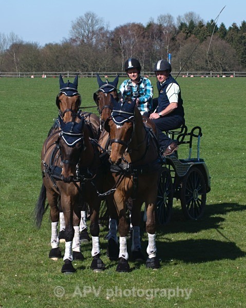 _DSC0312 - Ashfields Carriage & Polo Club