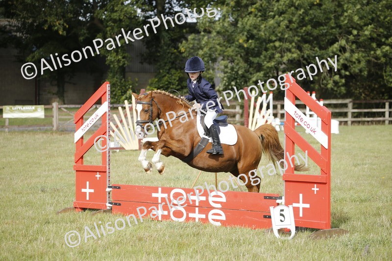 20250831-0121 - Class 1 - 50cm