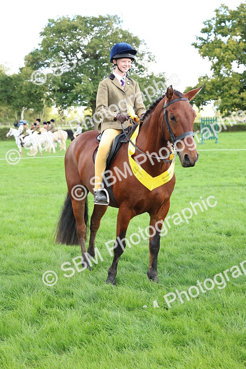 SBM_45568 - S33 - Working Hunter Pony