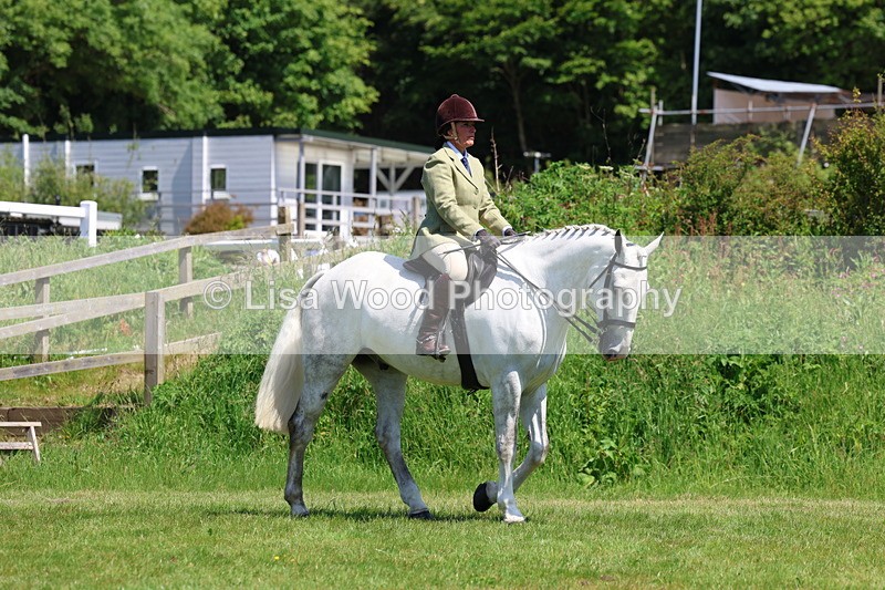 3E7A8165 - Class 13: Ridden Hunter